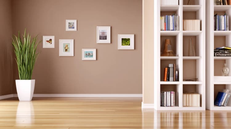 Bright bookshelves background